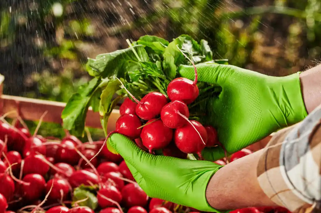 Mercator GoGrip Green – Manusi nitril verzi fara pudra, 50 bucati